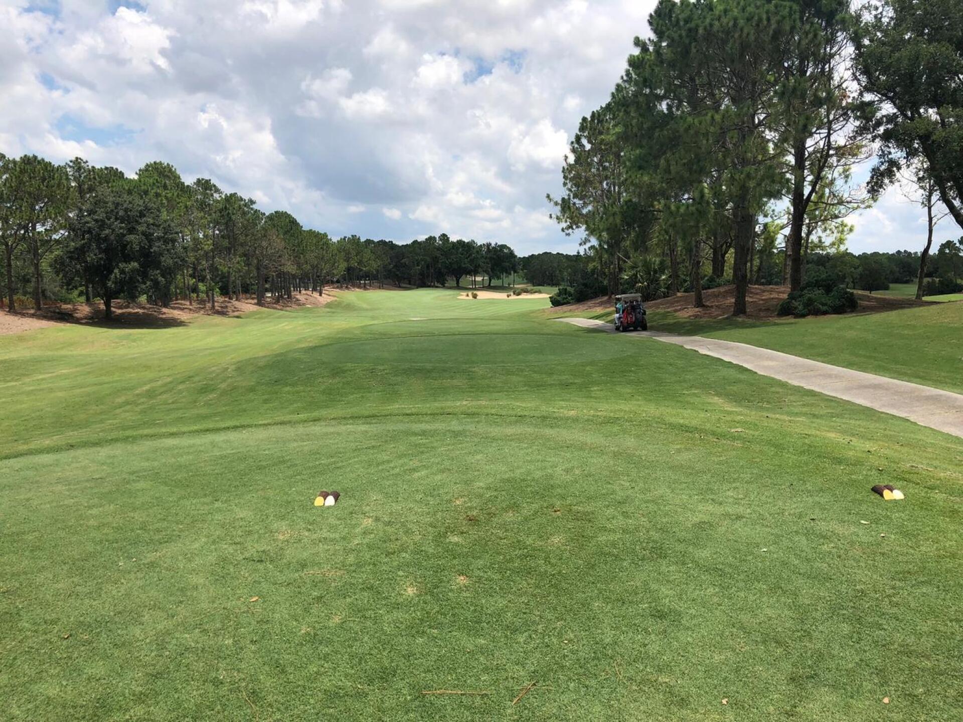 Number 15 - par 4 (Photo submitted by abwnd76 on 06/18/2018)