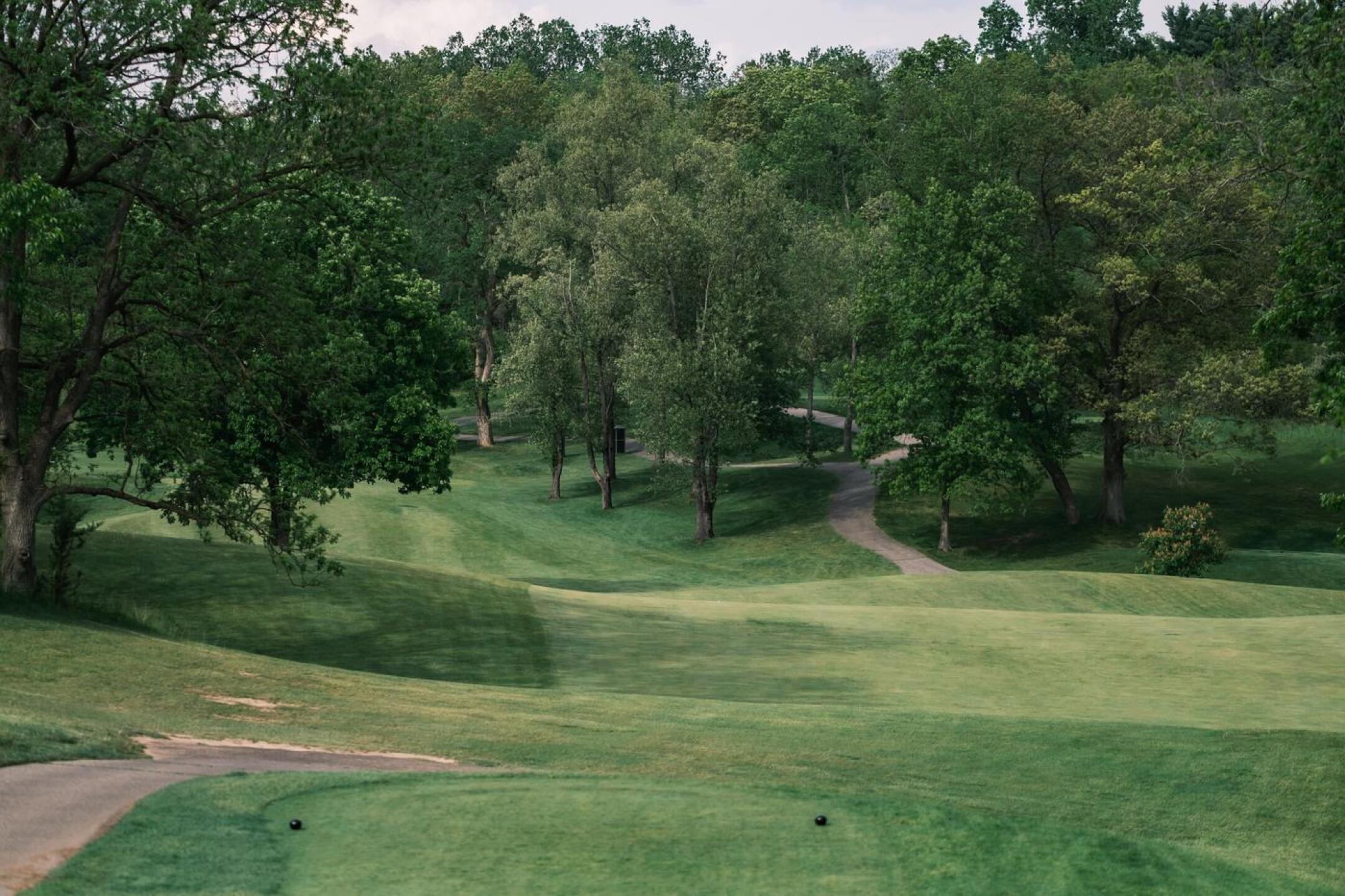 2 (Photo submitted by noahjurik on 05/27/2021)