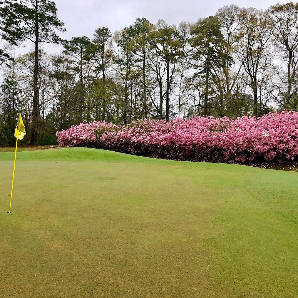 Duncan Park Golf Club in Natchez, Mississippi, USA GolfPass