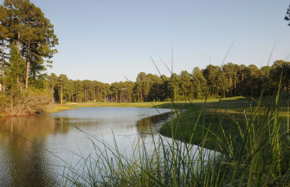 Cupp @ Palmetto Hall - #13