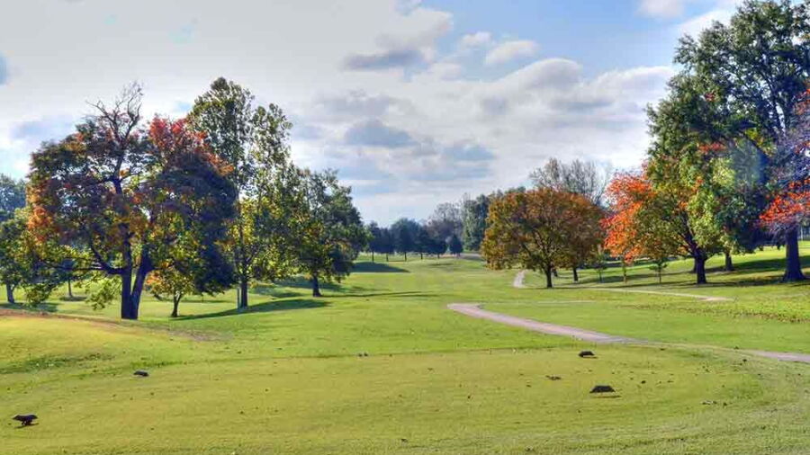 Fulton CC