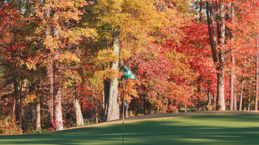 Tradition GC