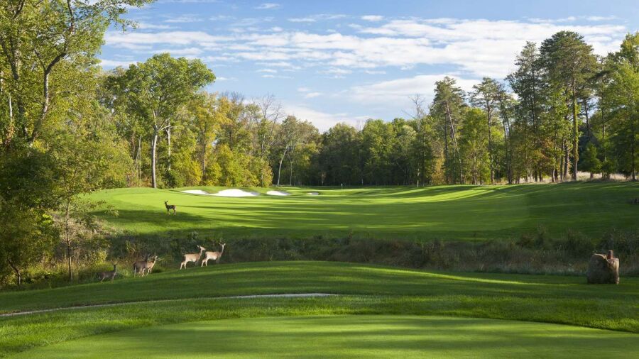 The GC at Lansdowne - The Norman: #11