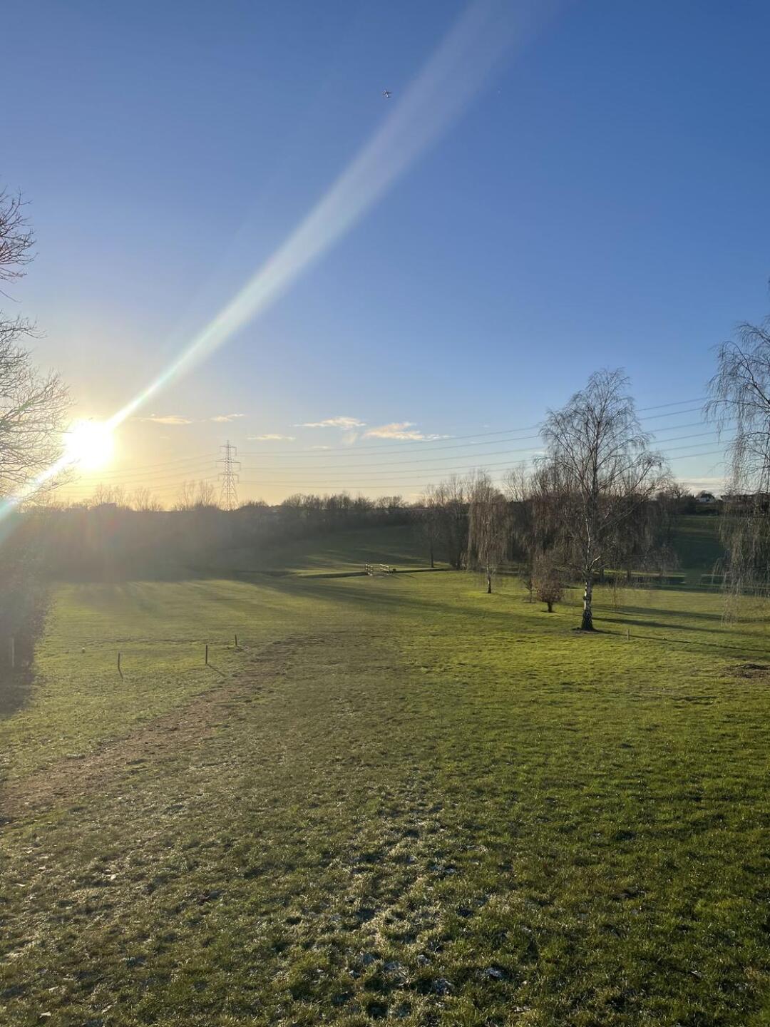 (Photo submitted by OrsonB on 01/05/2026)