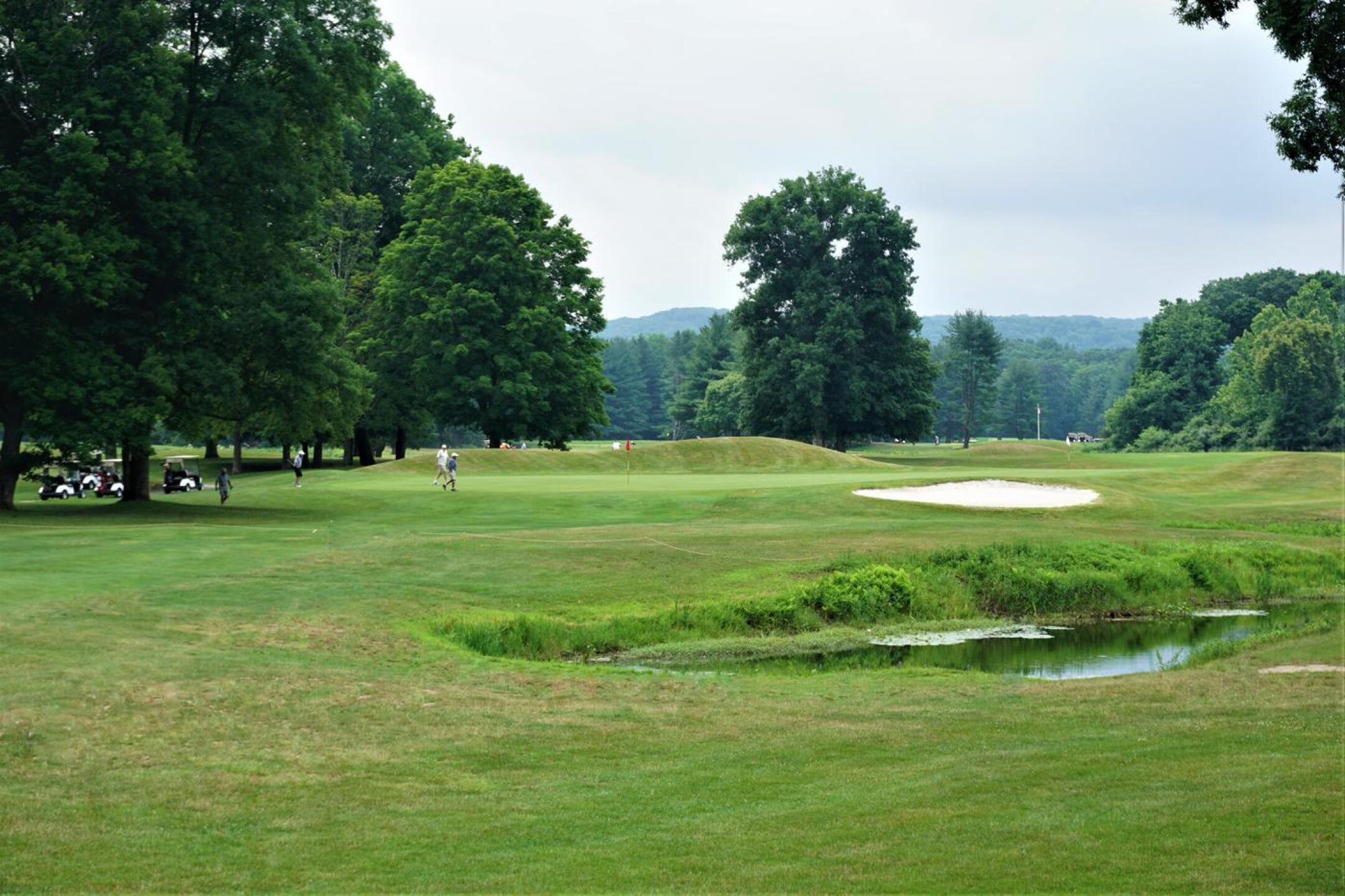 From the right rough, a view of the sixth green, a strong par-4. (Photo submitted by AptlyLinked on 07/10/2020)