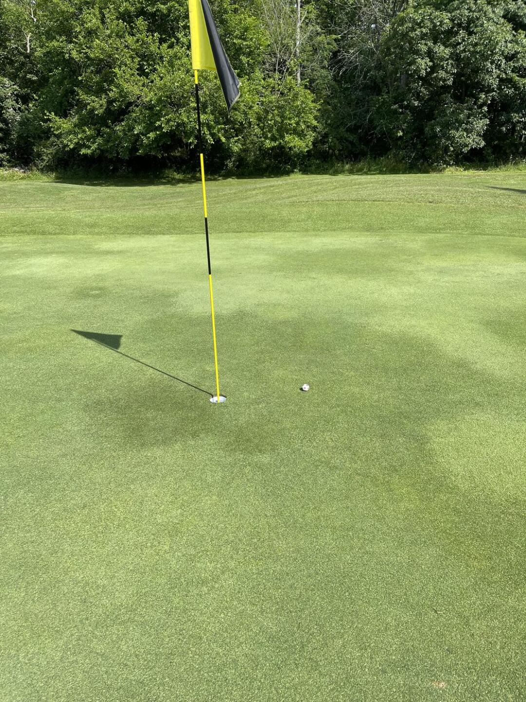 (Photo submitted by u314161727116 on 06/26/2021)