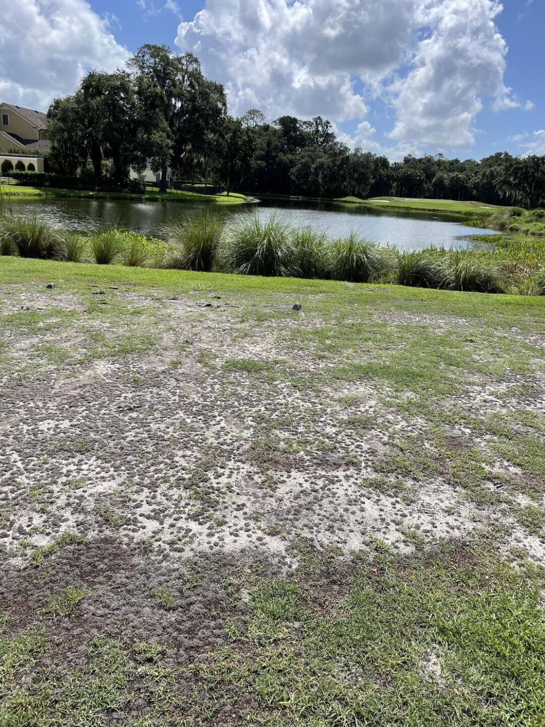 (Photo submitted by batata1 on 06/27/2021)