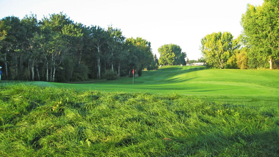 Cooke Municipal GC