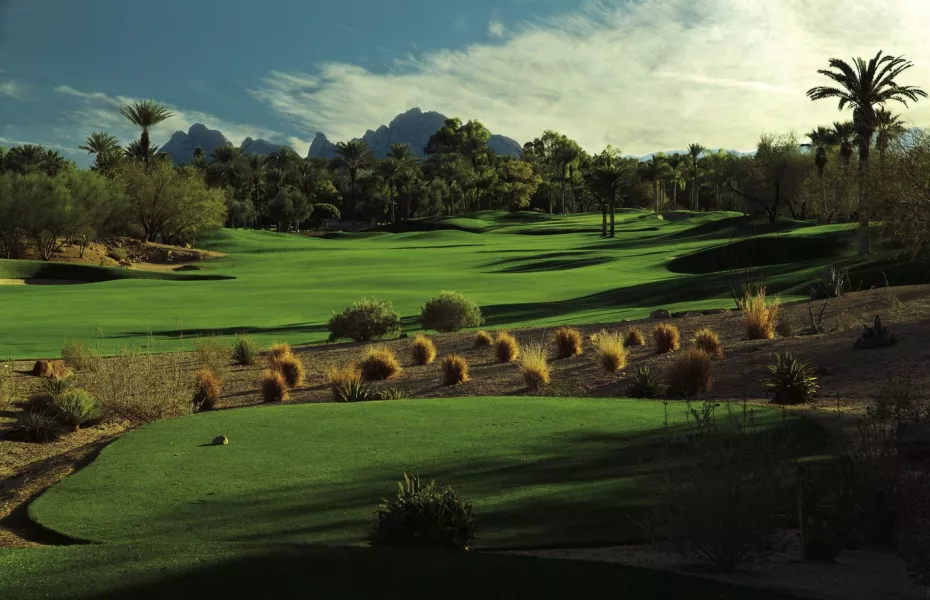 The Phoenician