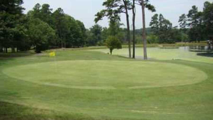 Walnut Wood GC: #3