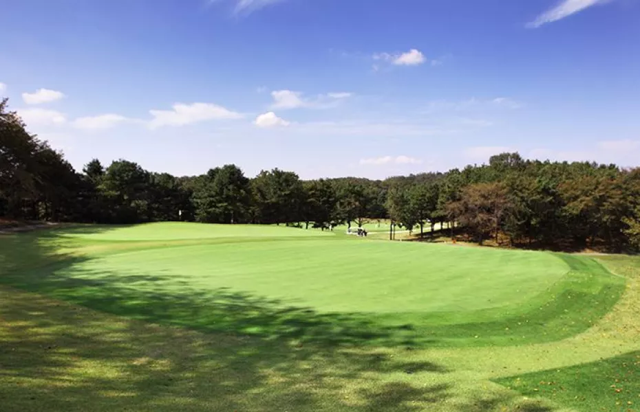 Plaza CC - Tiger: #7