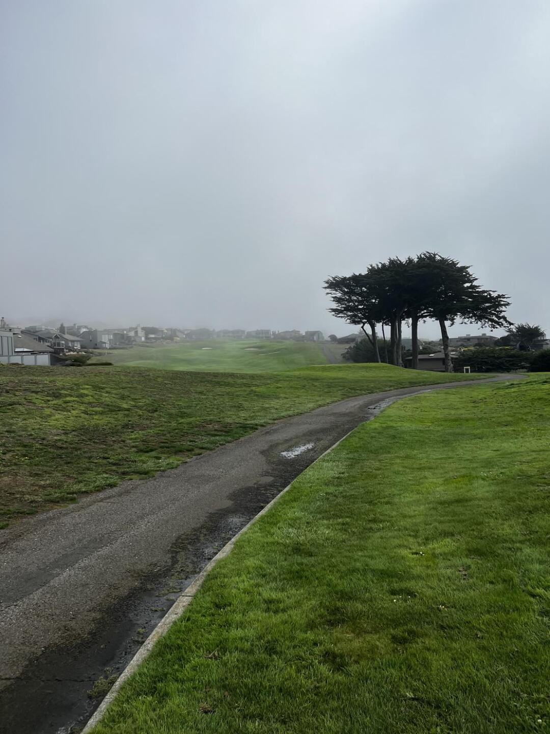 (Photo submitted by PattySmith6 on 10/17/2022)