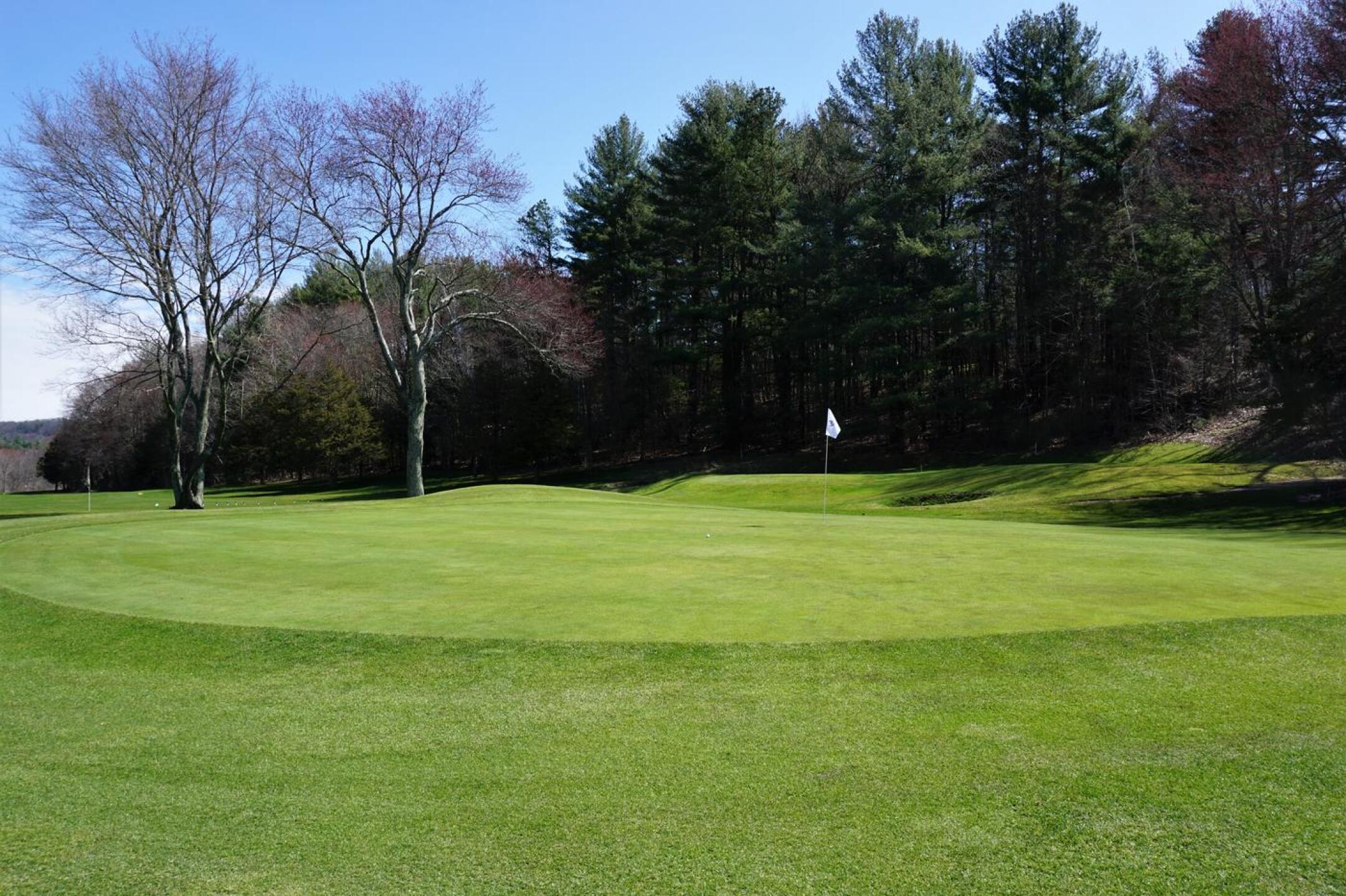 Copper Hill’s first green. Grass beyond the fringes is shaved close, allowing for pitching/chipping options. (Photo submitted by AptlyLinked on 04/15/2022)