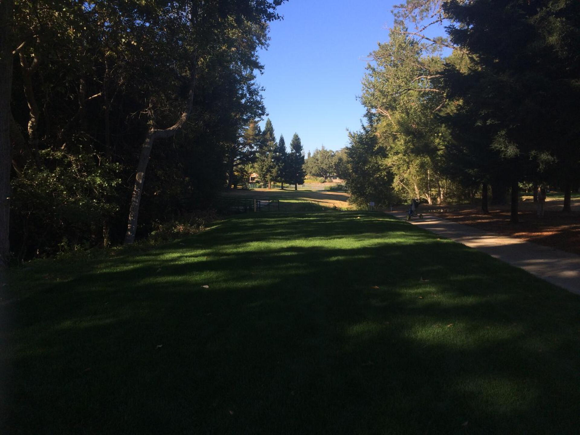 The tee shot on the drivable 6th. (Photo submitted by ncjrgolf on 09/19/2015)
