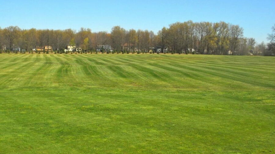 Windmill Golf Center