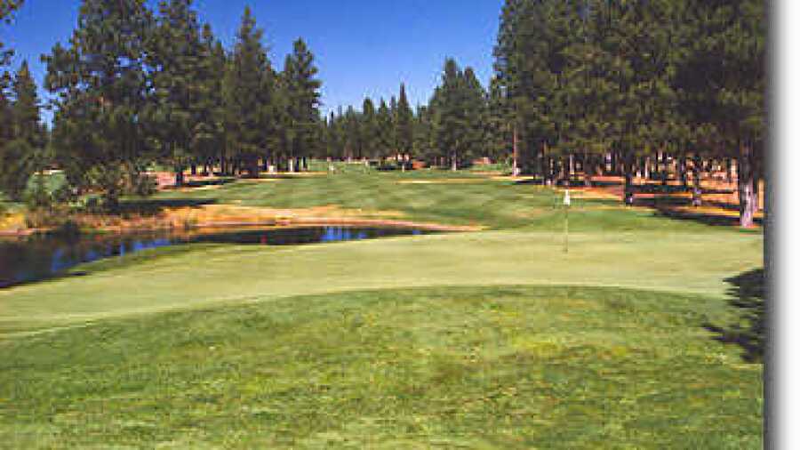Widgi Creek #7