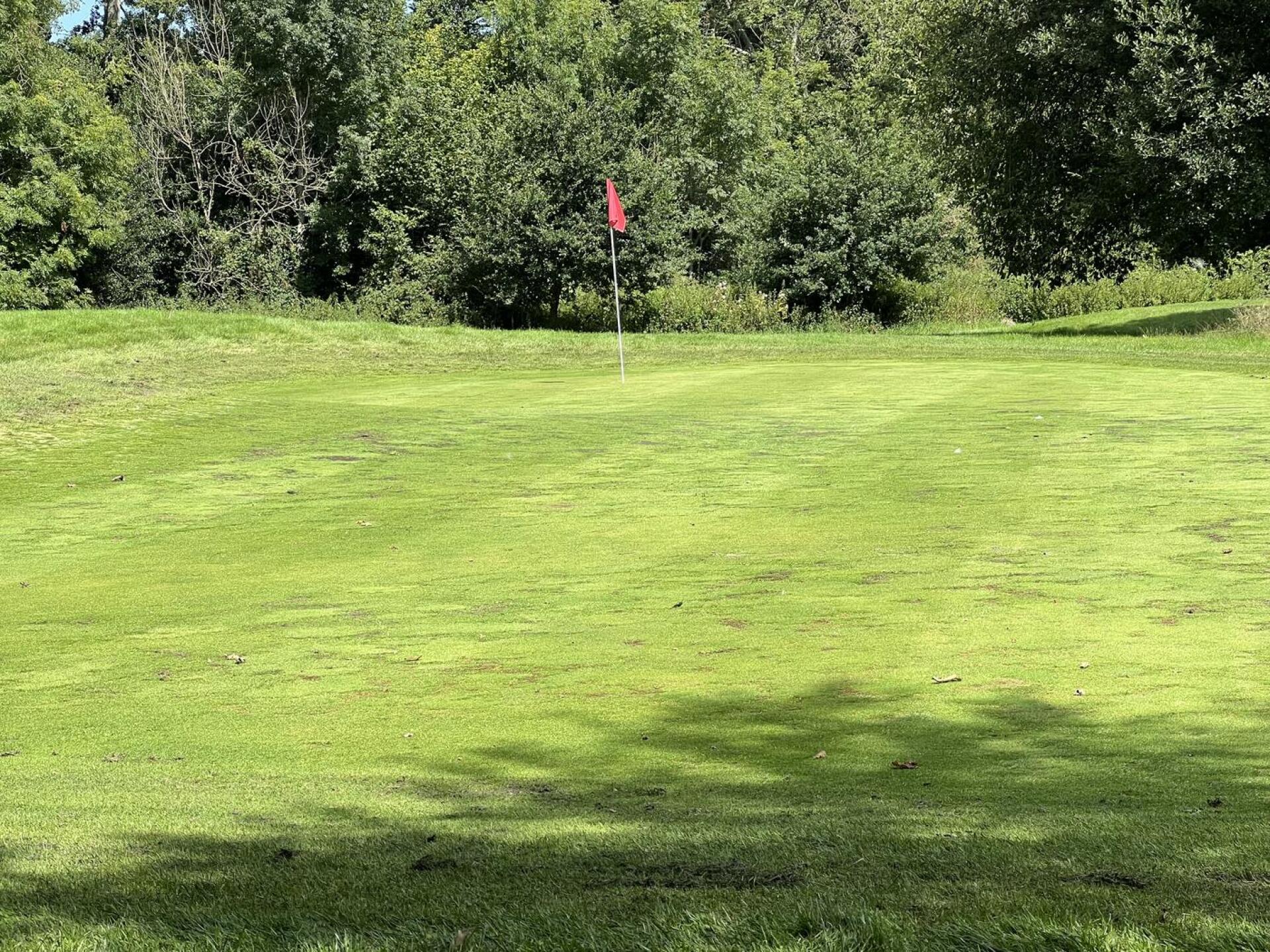 (Photo submitted by chef2022 on 08/16/2023)