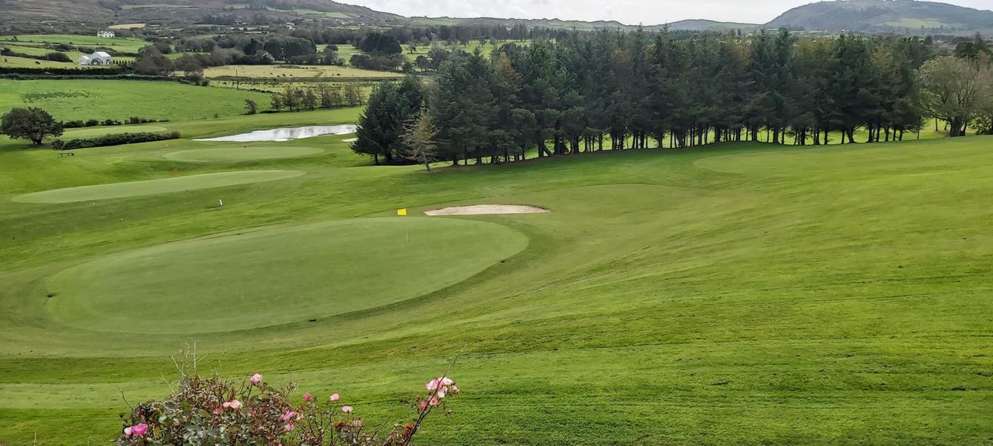 (Photo submitted by paskell on 09/30/2020)