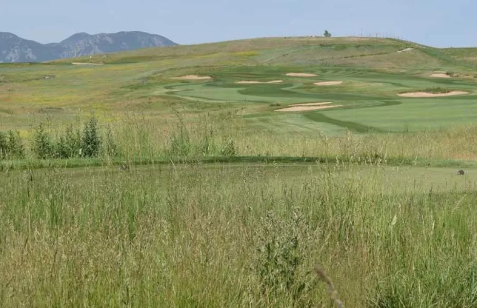 Walnut Creek Golf Preserve: #4