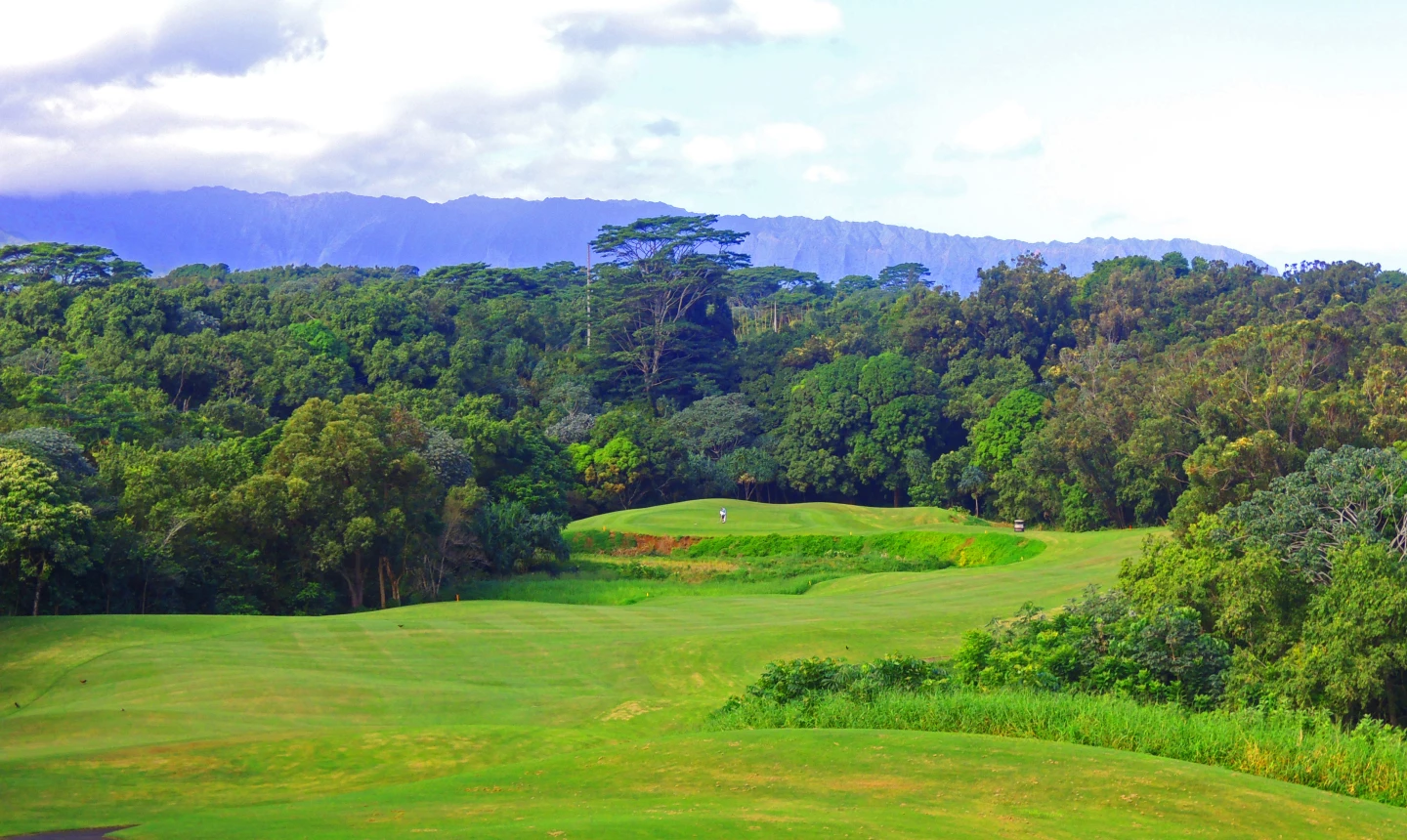 Princeville - Prince golf course - No. 1