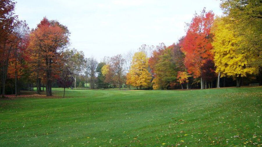 White at Winding Creek GC: #7