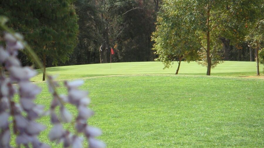 Springwood CC