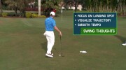 Lessons with a Champion Golfer: Rory McIlroy Short Game Visualization Preview