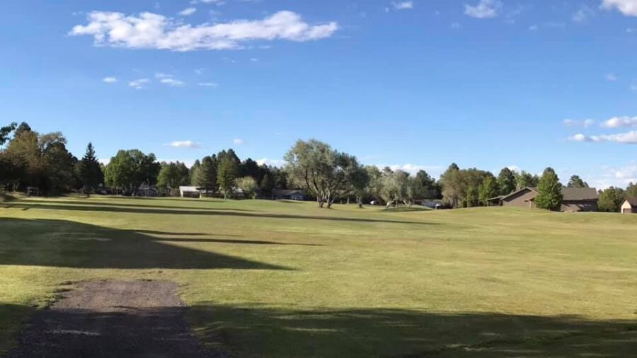 Bison GC