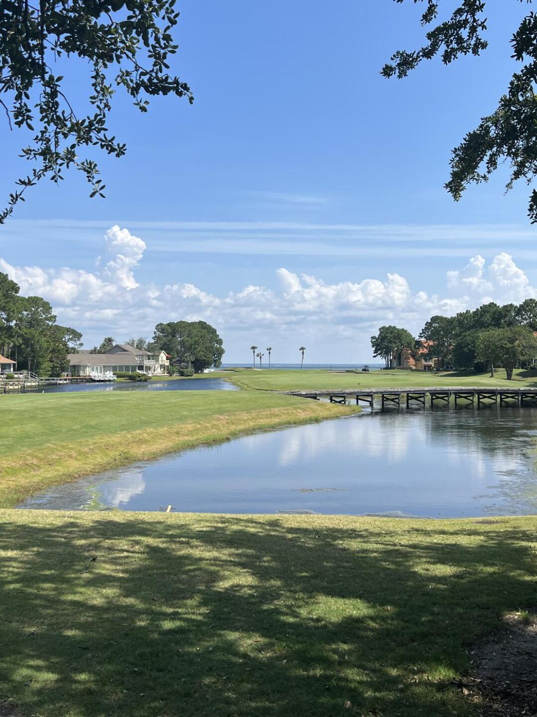 (Photo submitted by u511452678 on 06/08/2023)