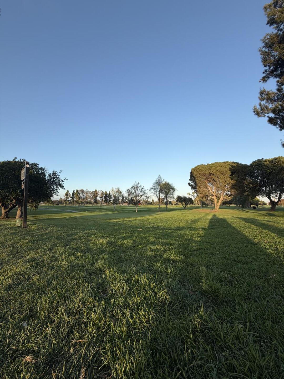 (Photo submitted by rSakiOfMidCity on 03/12/2026)