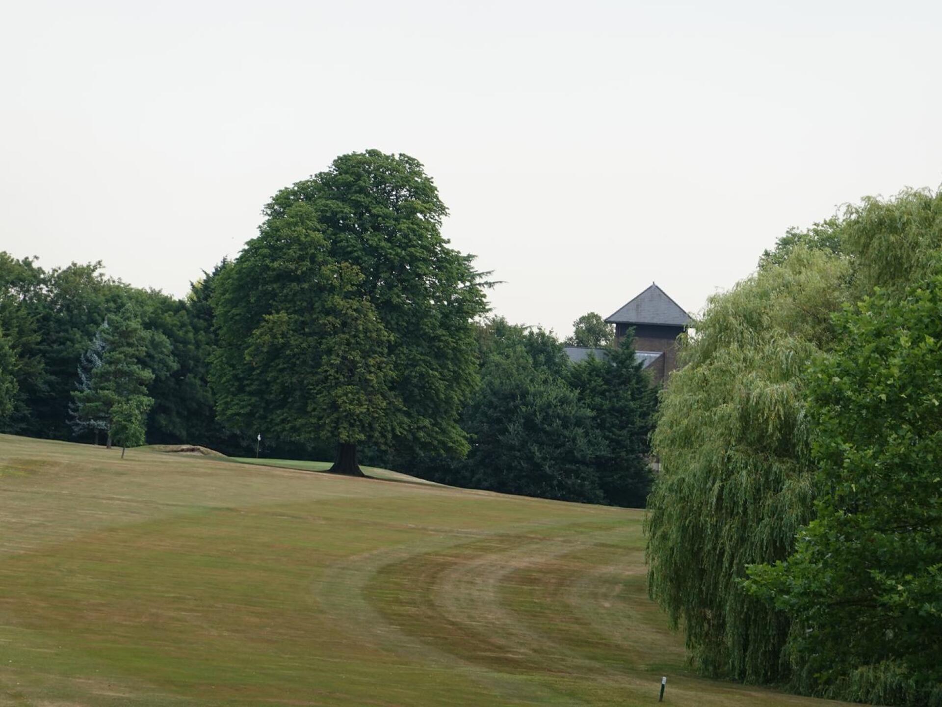 Only photo under 5MB or I would upload more (Photo submitted by joamma13 on 07/27/2018)