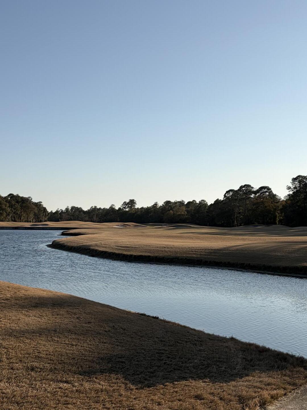 (Photo submitted by u314159582643 on 02/12/2026)