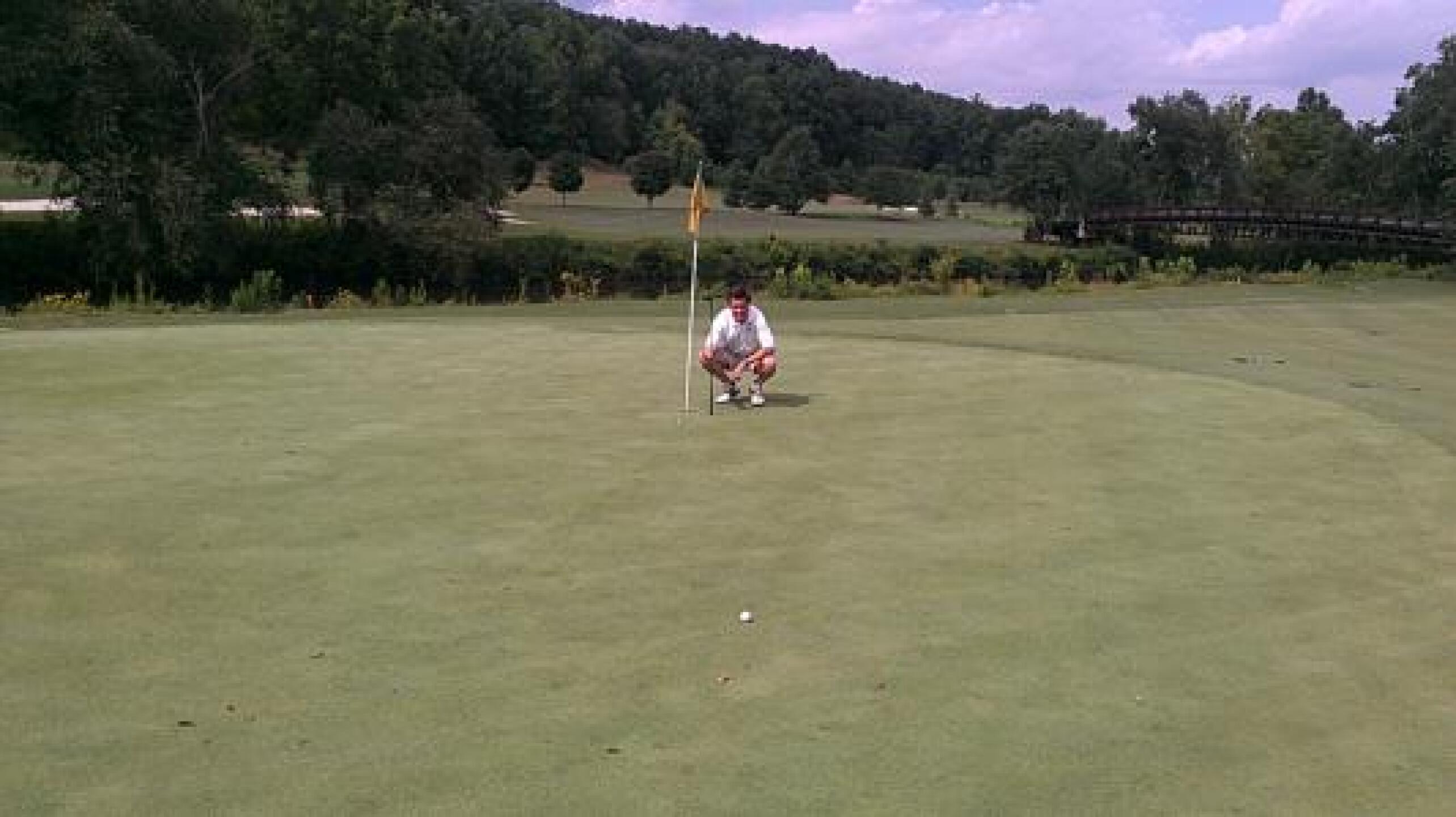 Beautiful greens. (Photo submitted by uUMLE7806UM on 09/05/2013)