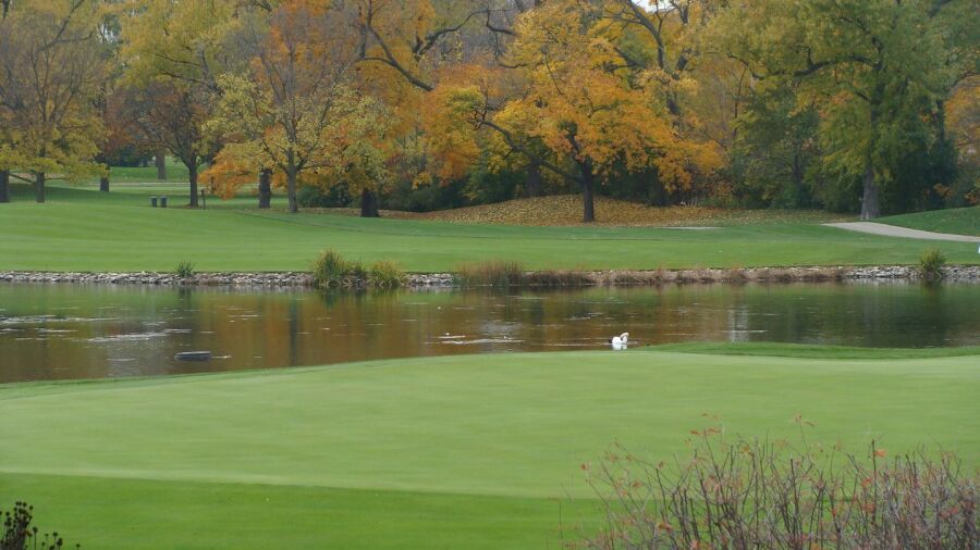 Bryn Mawr CC