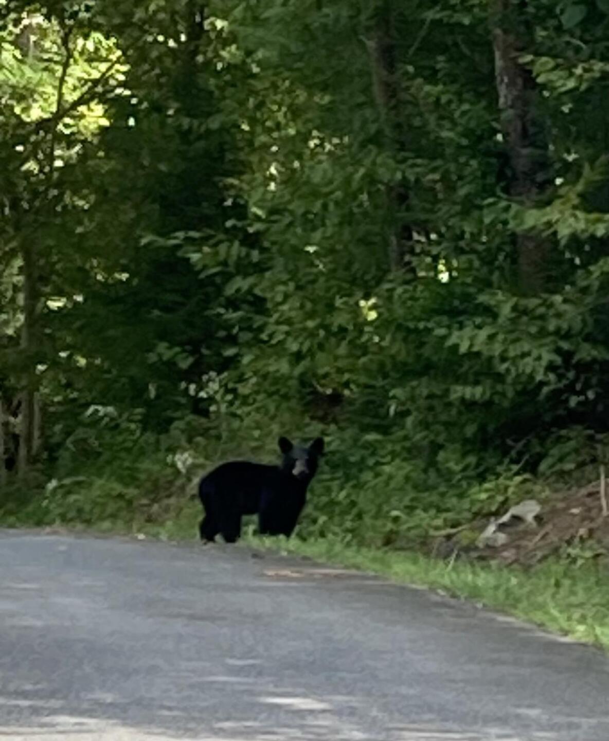 (Photo submitted by egnotje on 08/18/2023)