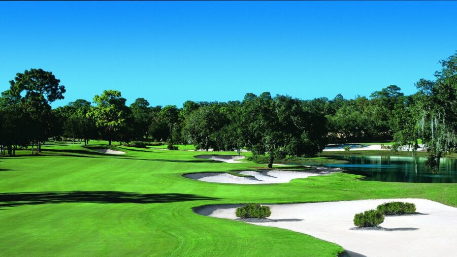 Ranch at Black Diamond Ranch GCC: #13