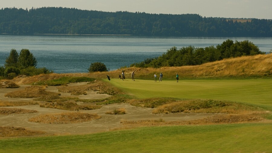 Chambers Bay golf course - hole 14