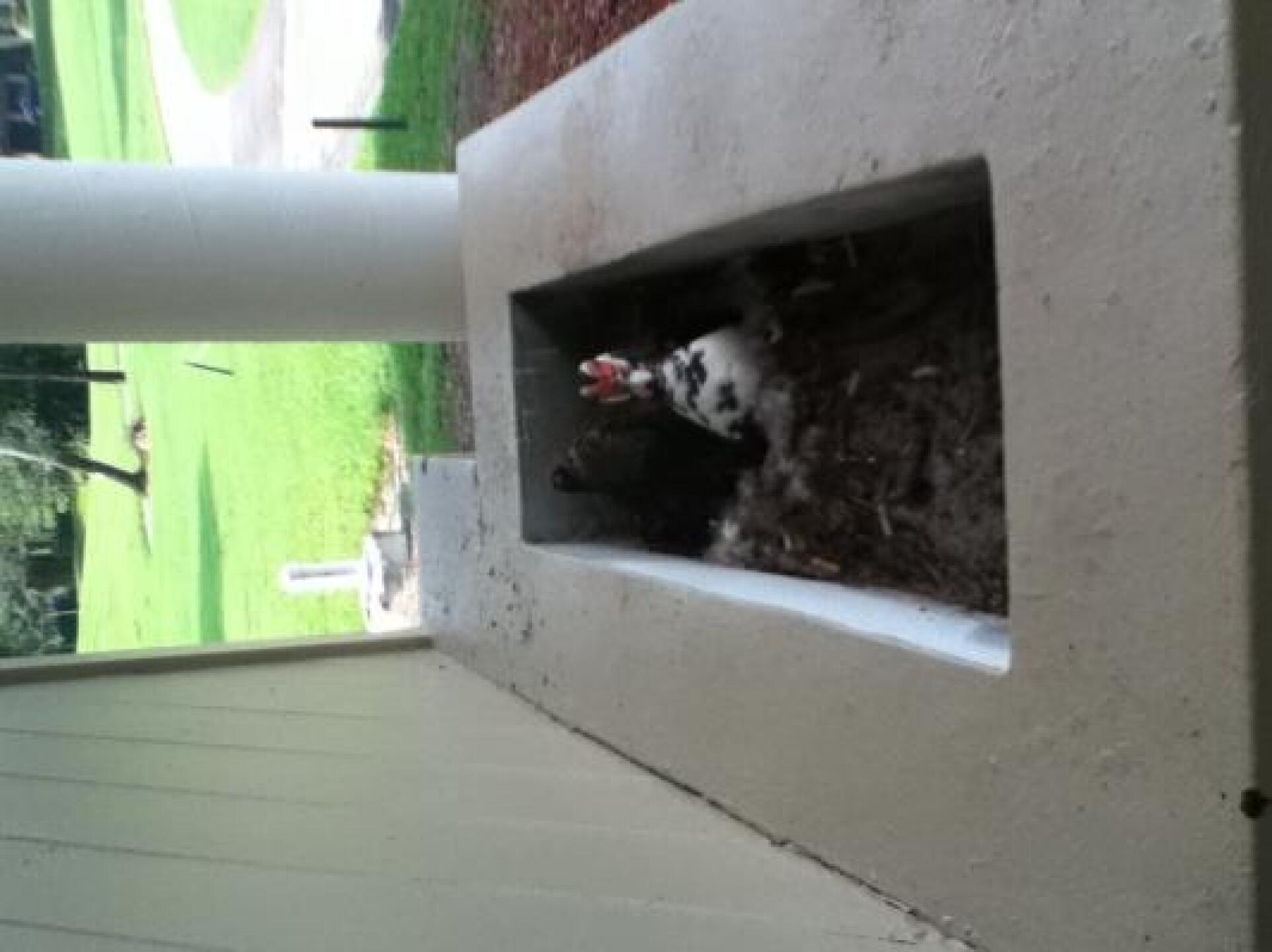 (Photo submitted by Jeanboy12 on 08/07/2013)