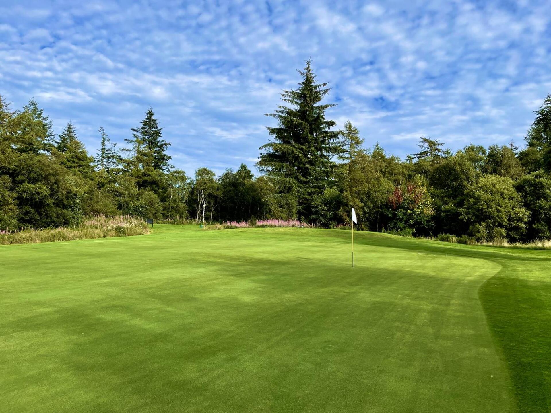 (Photo submitted by peterjrb on 08/29/2022)