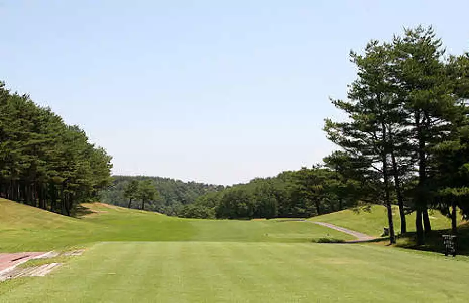 Forest CC - East: #1