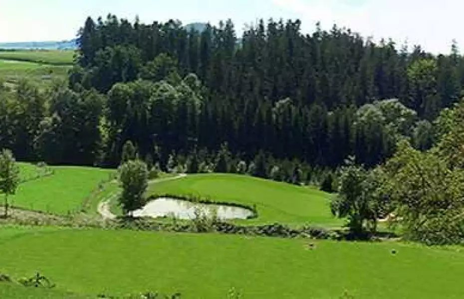 Hetzenhof GC – Stuifen: #8