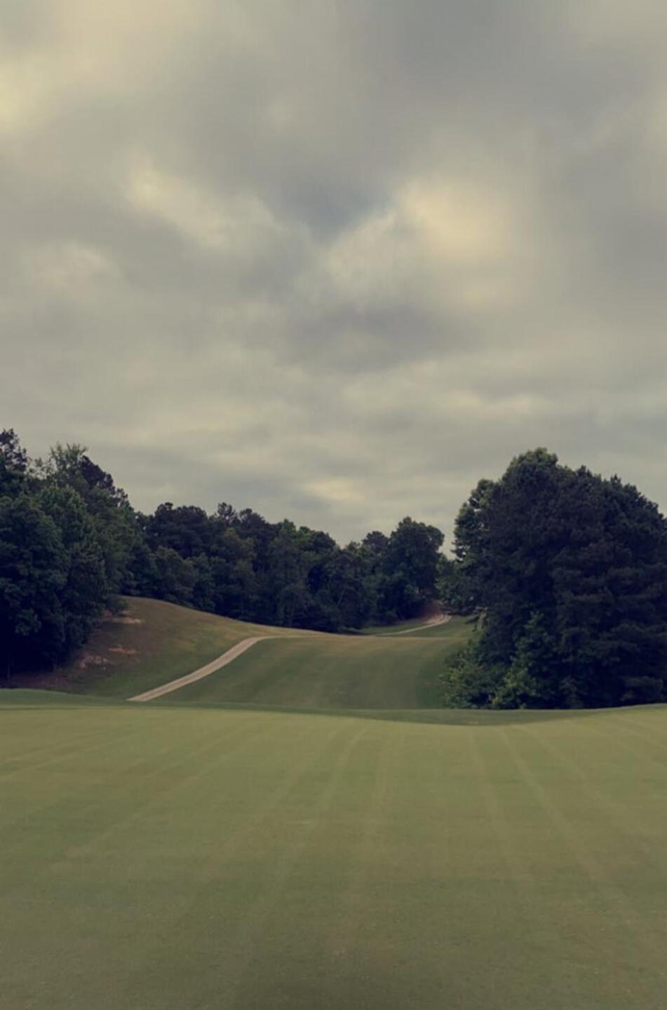 (Photo submitted by msufan212 on 06/22/2021)