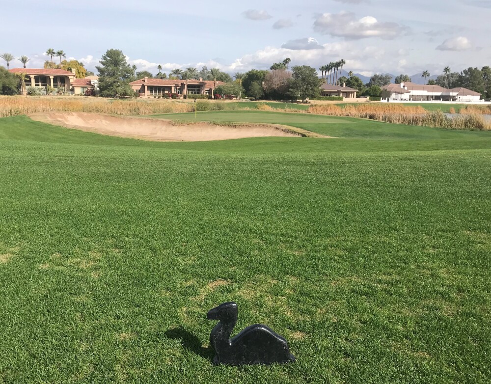 Camelback Golf Club - Ambiente Course - tees 