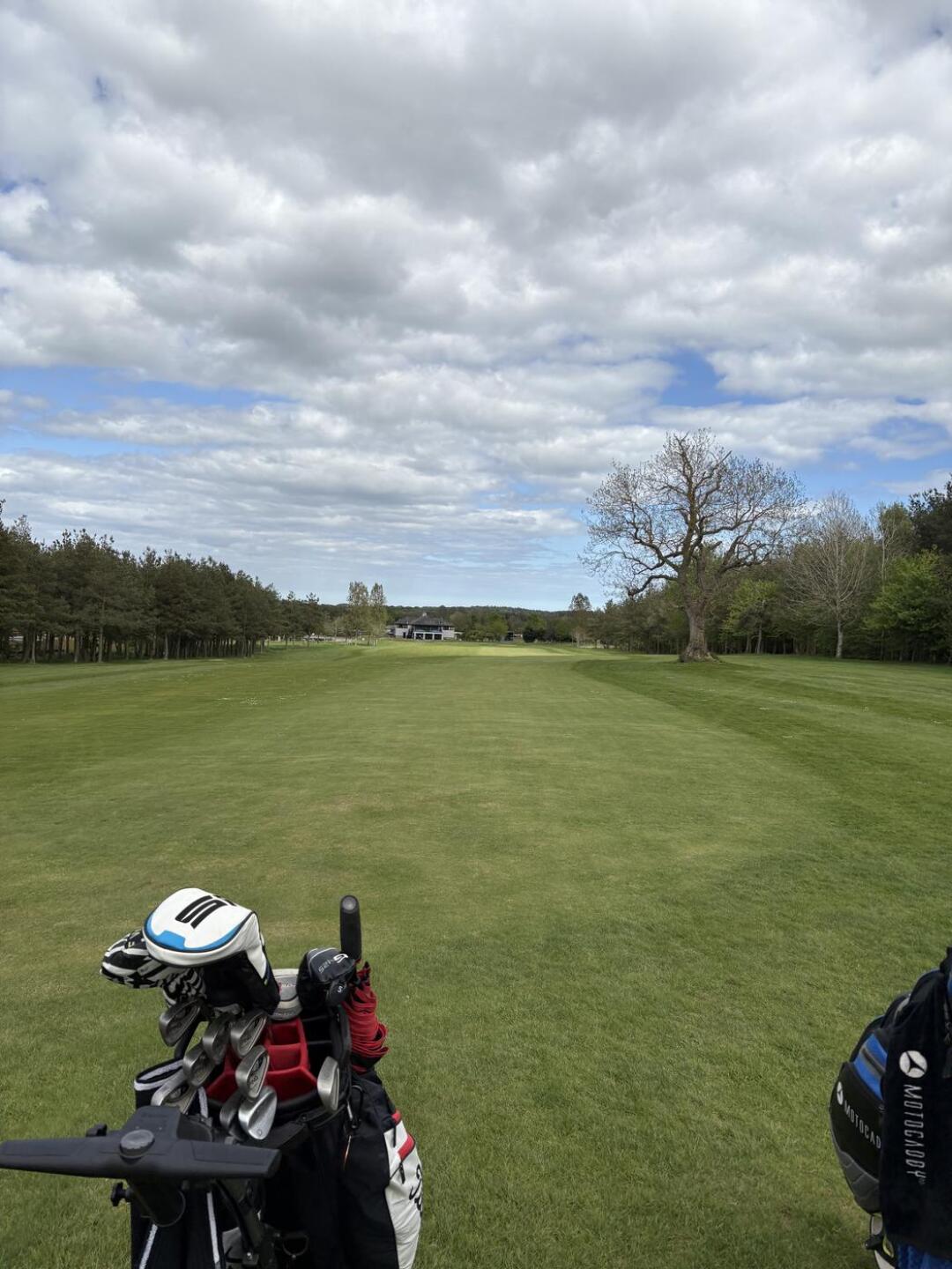 (Photo submitted by t1671416658 on 05/04/2025)