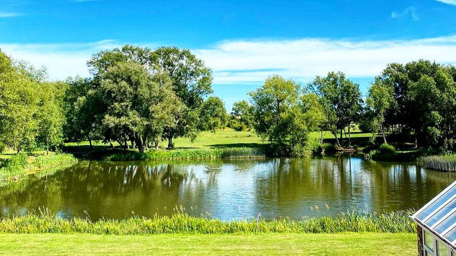 Kingfisher CC