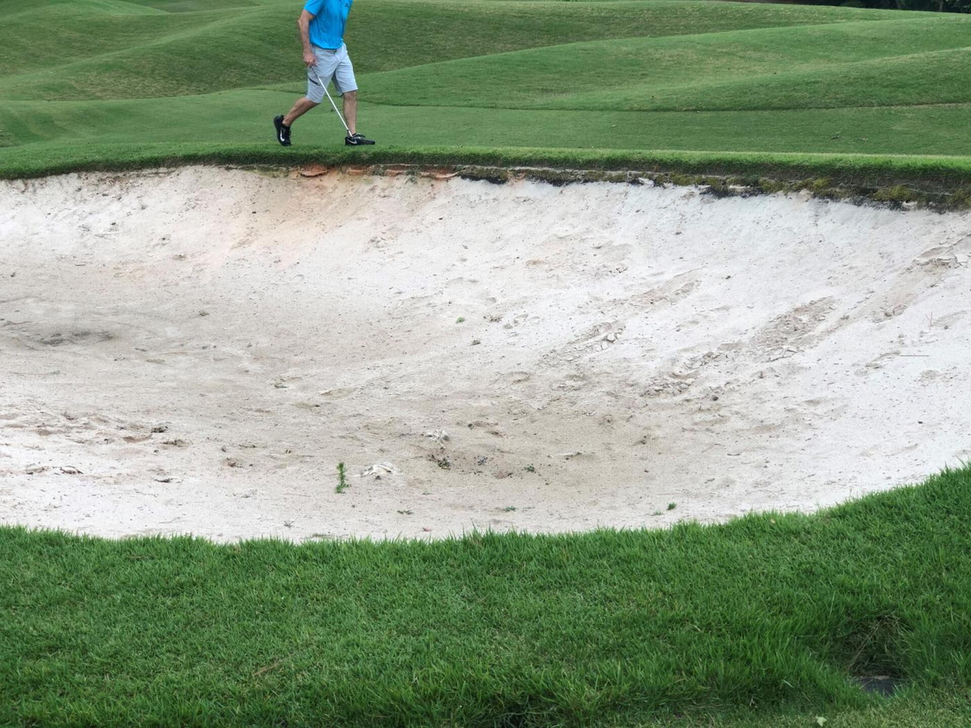 Weeds Growing in the Bunkers (Photo submitted by manderson831 on 06/29/2020)