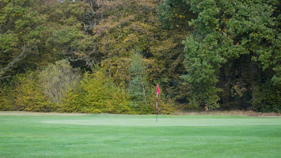 Royal Epping Forest GC: #12
