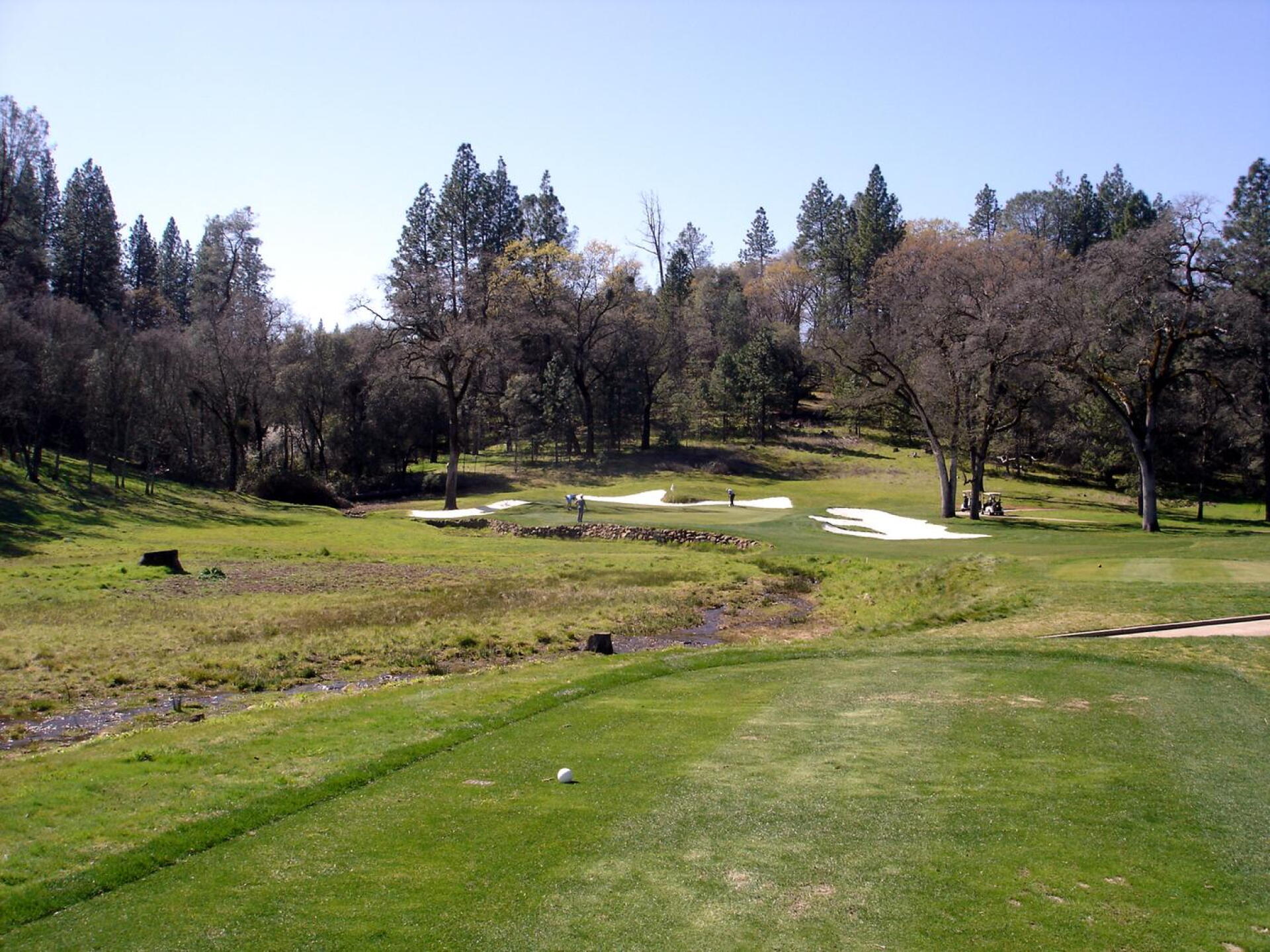Dark Horse GC, Hole 6, Par 3, 156 yds (Photo submitted by DYakimec on 03/18/2020)