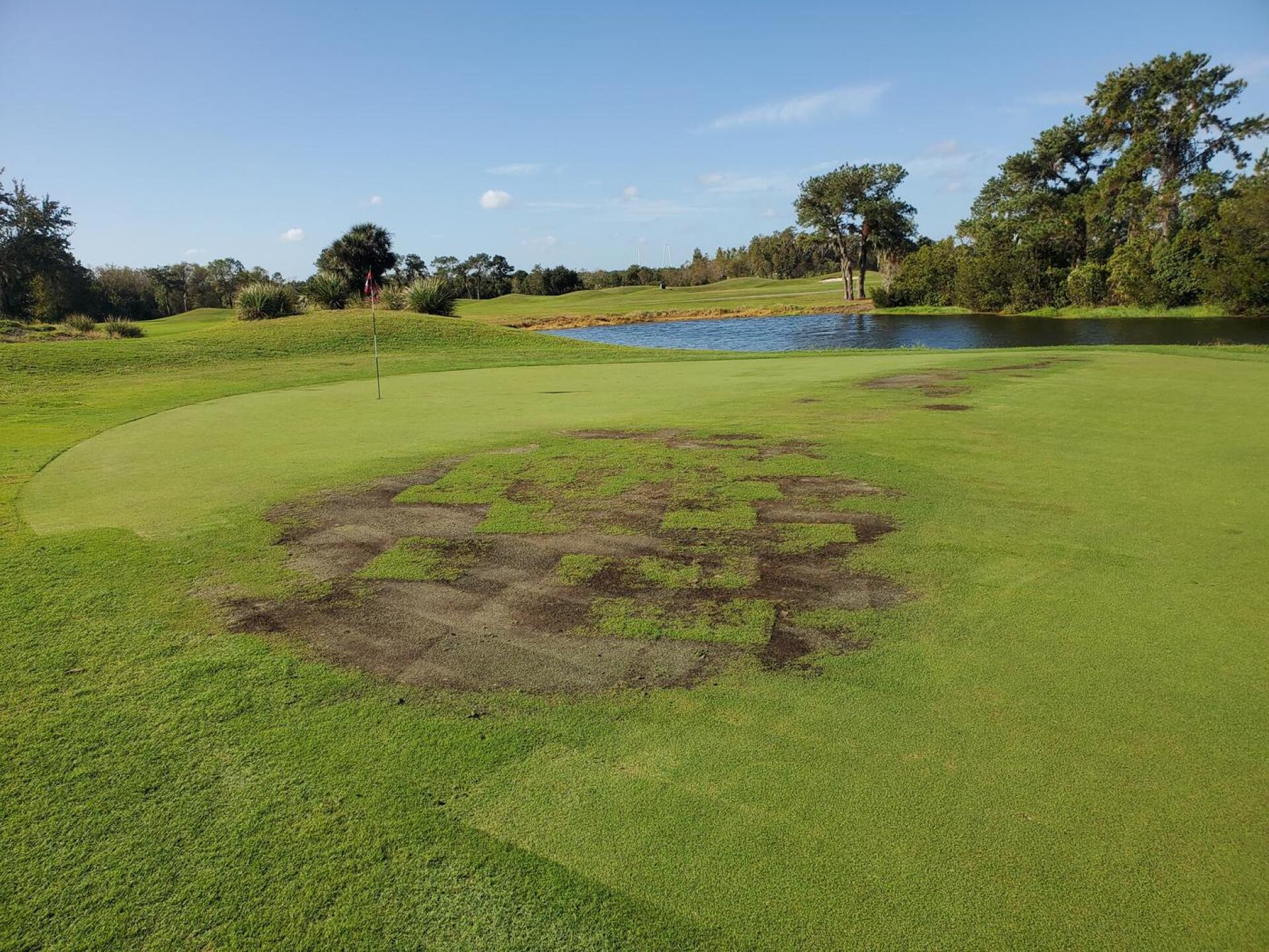 (Photo submitted by u000004020492 on 11/08/2022)