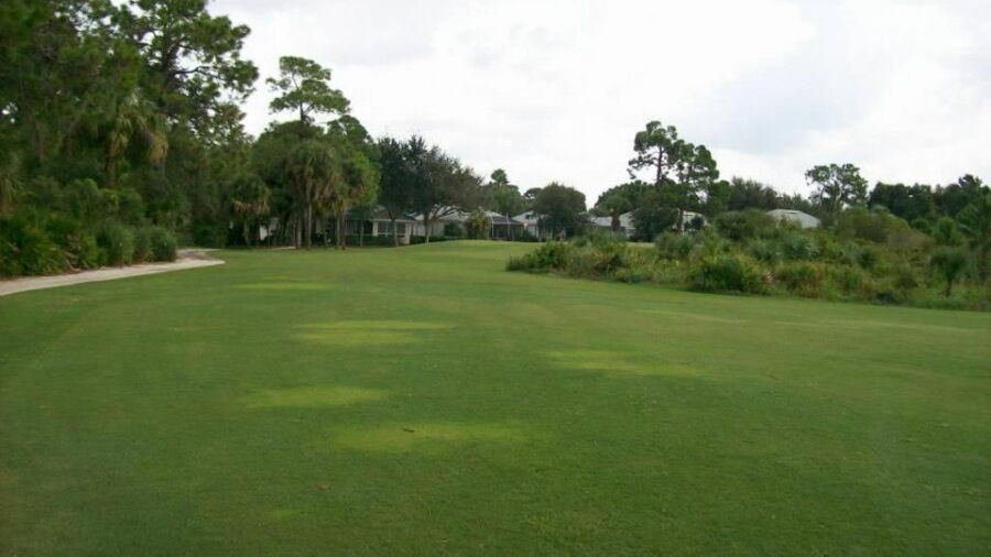 Venice GCC: #16